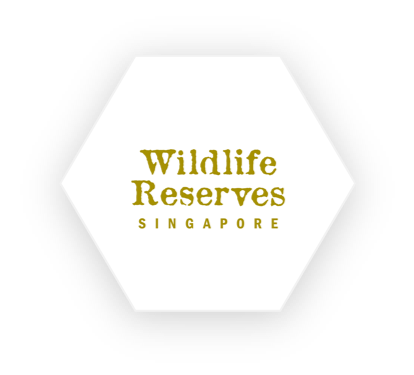 Wildlife Reserves Singapore